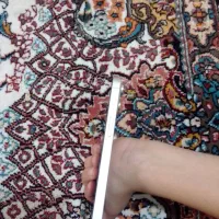 آیفون 13نرمال|موبایل|بومهن, |دیوار