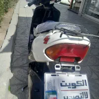 متور پاکشتی