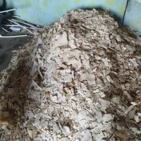 نان خشک تر تمیز