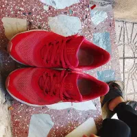 کفش اصلی|کیف، کفش، کمربند|هرسین, |دیوار