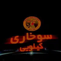 استخدام نیرو