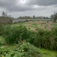7400-متر-زمین-مسکونی-بر-جاده-اصلی