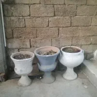 دوربین عکاسی