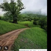 زمین-بشیرنذیر