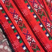 زیاستین دسته دودرحدنو