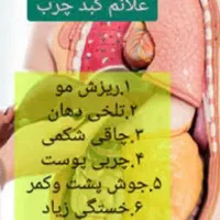 پاکسازی کبد چرب وغلظت خون