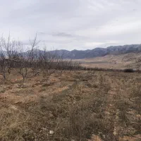 زمین کشاورزی و ویلایی در تلمادره|فروش زمین و ملک کلنگی|کیاسر, |دیوار