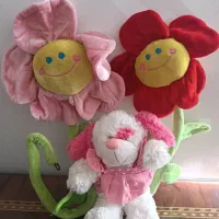 گل های مخملی خندان ساقه منعطف