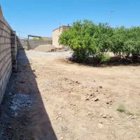 فروش خانه دهشیخ|فروش خانه و ویلا|زرند, |دیوار