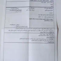 سلام  پژو یشمی  تازه تعمیر اساس کردم|خودرو سواری و وانت|زابل, |دیوار