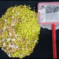 آکواریوم|ماهی|بجنورد, |دیوار