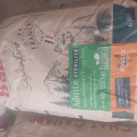 غذاخشک گربه