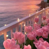 زمین‌فروشی‌در‌مایانات