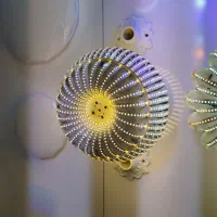 فروشنده خانوم تمام وقت