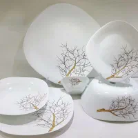 سرویس غذاخوری آرکوپال