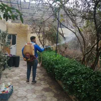 باغبانی سمپاشی گل کاری علف کشی سم پاشی تمام نقاط|خدمات باغبانی و درختکاری|مشهد, توس (بلوار توس)|دیوار
