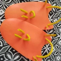 فین و پدل|غواصی و ورزش‌های آبی|قدس, شهر‌قدس|دیوار