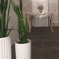 میزنهارخوری ۶نفره