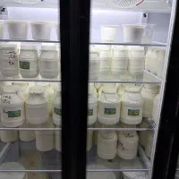لبنیان محلی تهیه شده به روش سنتی