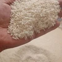 سرلاشه طارم ۱۷۲طارم هاشمی ۲۷۰ ت فجر ۱۸۵ ت