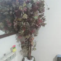 دو عدد درختچه بسیار زیبا|گل مصنوعی|مشهد, شهرک رازی (شهرک غرب)|دیوار