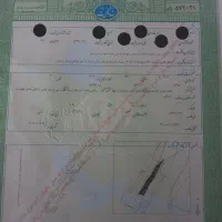 زمین-باغی-قیمت-مناسب-سند-تک-برگ