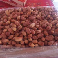 خرمای زاهدی(قصب) درجه ۱