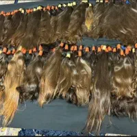 بستن با چلگیس