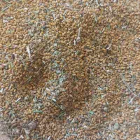 بذر یونجه رنجر  موجود است|خدمات باغبانی و درختکاری|خانمیرزا, |دیوار