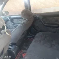 زانتیا زیر خاکی|خودرو سواری و وانت|دوگنبدان, |دیوار