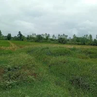 کاشان جوشق بعد از خاوه با اب  20 هکتار