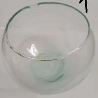 ۳  عددتنگ ماهی