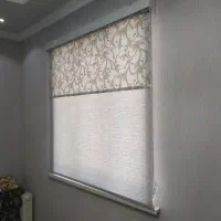 زبرا ساده و دو مکانیزم