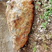 شهاب سنگ|کلکسیون اشیاء عتیقه|تالش, جوکندان|دیوار