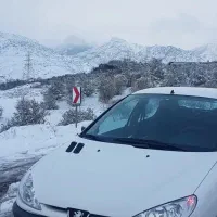 فروش ماشین پژو۲۰۶ اس دی
