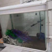 آکواریم ۸۰ سانتیمتر