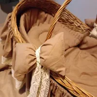 سبد حمل نوزاد