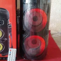 اسپیکر اصلی‌ میکرفون دار