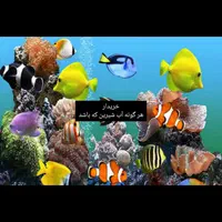 ماهی زینتی