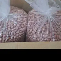 بادوم زمینی درجه یک(مغز و با پوست)