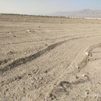 زمین|فروش زمین و ملک کلنگی|میرجاوه, |دیوار