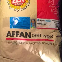 تخمه آفتابگردان بذری موجود است