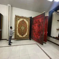 فرش طرح کلکسیون روناسی وثریا ۷۰۰شانه تراکم۲۵۵۰|فرش|شیراز, عادل آباد|دیوار