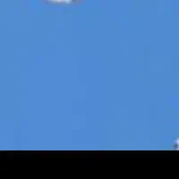 کفتر