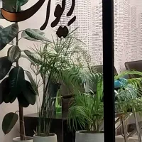 مغازه-بر-اصلی-اعلایی-علی-آباد