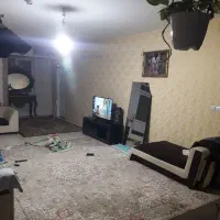 همخونه هم خانه