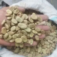باقله خوش پخت و پزا