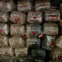 تخمه تخمه کدو خرما کشمش خشکبار بادوم زمینی|عمدهفروشی|رباطکریم, نصیرشهر|دیوار