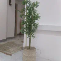 درختچه بامبو|گل مصنوعی|رشت, نظری|دیوار