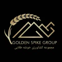 دعوت به همکاری